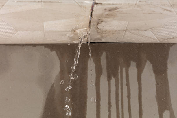 Professional Structural Drying technician working in Newport, AR